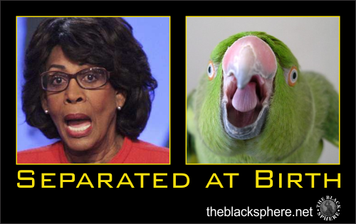Separated at Birth - Maxine Waters