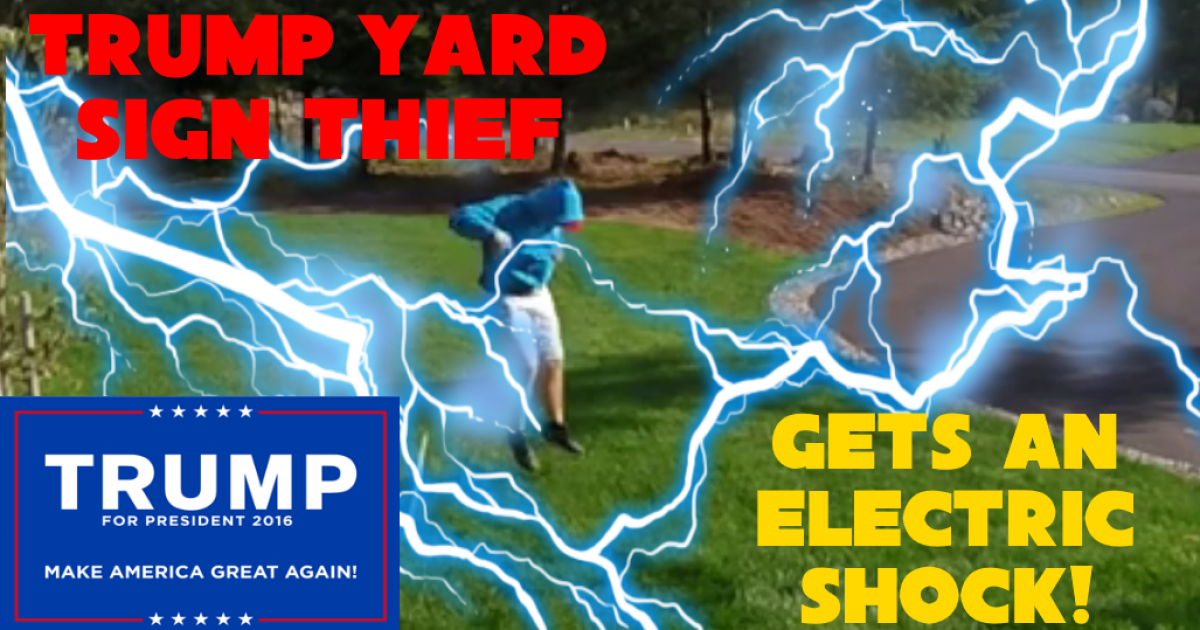 trumpsignthief Trump yard sign thief
