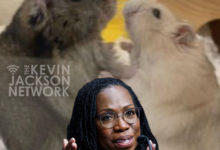 Ketanji, Kevin Jackson