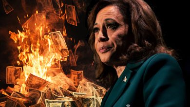 Kamala, money, campaign, Kevin Jackson